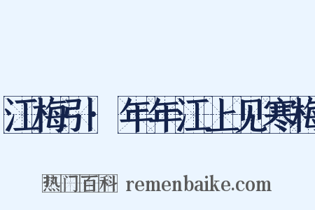 江梅引·年年江上见寒梅是什么意思的图片